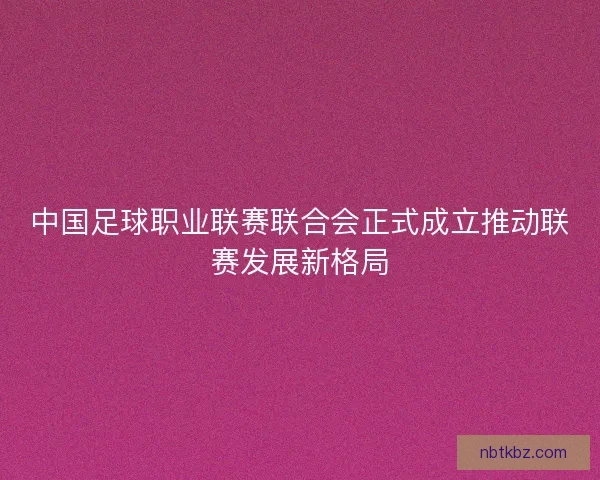 中国足球职业联赛联合会正式成立推动联赛发展新格局