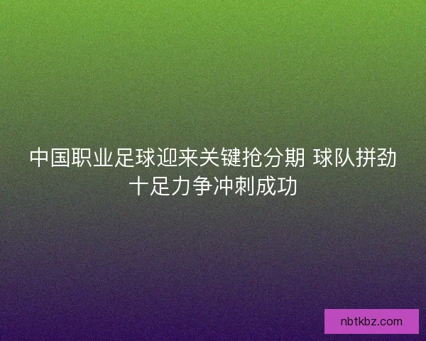 中国职业足球迎来关键抢分期 球队拼劲十足力争冲刺成功